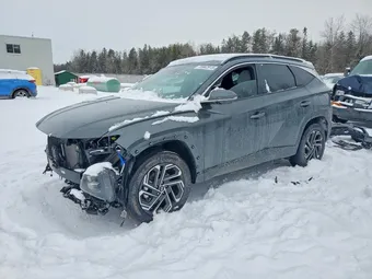 2025 Hyundai Tucson KM8JCDD14SU397063 Lot 75982915