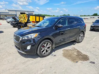 2017 Kia Sorento 5XYPK4A55HG238278 Lot 55330786