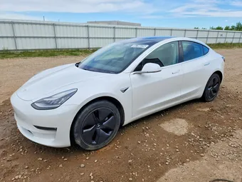 2019 Tesla Model 3 5YJ3E1EB5KF361551 Lot 55799226