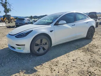 2023 Tesla Model 3 5YJ3E1EA1PF577704 Lot 50177756