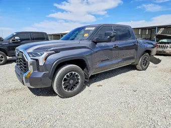 2023 Toyota Tundra 5TFLA5DB4PX124129