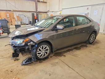 2019 Toyota Corolla 2T1BURHE3KC243859 Lot 56511256