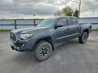 2019 Toyota Tacoma 3TMCZ5AN5KM203136 Lot 49309946