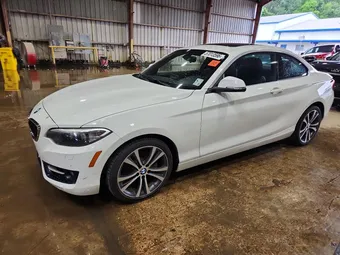 2016 BMW 2 Series WBA1F9C53GV546364