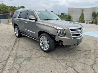 2019 Cadillac Escalade 1GYS3DKJ7KR173584