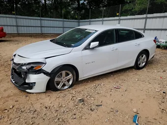 2023 Chevrolet Malibu 1G1ZD5ST3PF155836 Lot 53985346