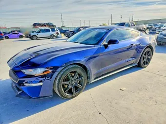 2019 Ford Mustang 1FA6P8TH4K5112544 Lot 49050766