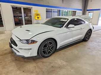 2022 Ford Mustang 1FA6P8TH2N5145319 Lot 54391346