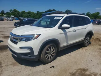 2019 Honda Pilot 5FNYF6H37KB053351 Lot 53837406