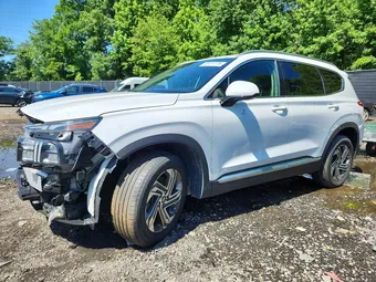 2021 Hyundai Santa Fe 5NMS24AJ1MH355475 Lot 55411776