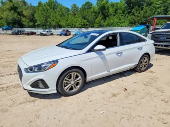 2019 Hyundai Sonata 5NPE34AF2KH746348 Lot 53545356
