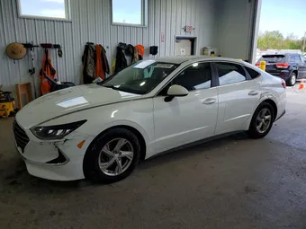 2020 Hyundai Sonata 5NPEG4JA6LH056290 Lot 53004996