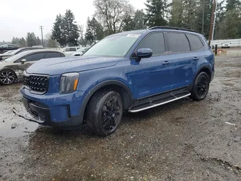 2025 Kia Telluride 5XYP3DGC8SG615423