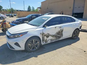 2024 Kia Forte 3KPF24AD8RE706151 Lot 50599006