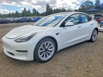2023 Tesla Model 3 5YJ3E1EA1PF671453 Lot 57211856