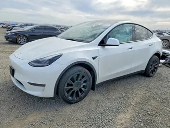 2023 Tesla Model Y 7SAYGDEE5PF850781 Lot 48694326