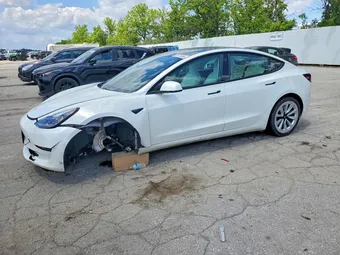 2021 Tesla Model 3 5YJ3E1EA6MF046218 Lot 52173186