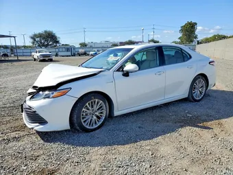 2019 Toyota Camry 4T1B21HK3KU012603 Lot 55457666