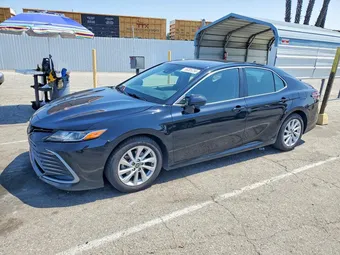 2023 Toyota Camry 4T1C11AK5PU122822 Lot 56305256