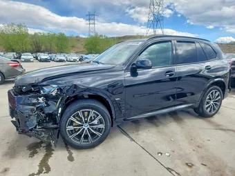 2025 BMW X5 5UX43EU00S9X92079 Lot 52921366