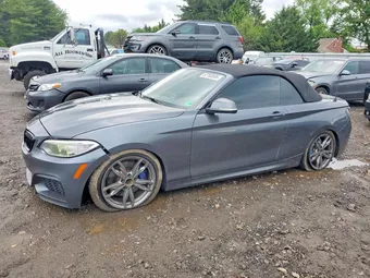 2016 BMW 2 Series WBA1M1C54GV394196