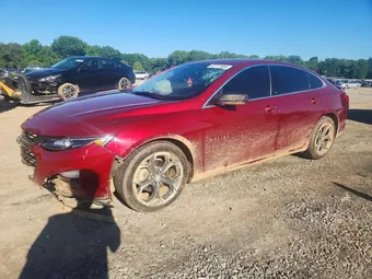 2019 Chevrolet Malibu 1G1ZG5ST5KF181256 Lot 52777886