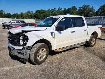 2024 Ford F-150 1FTEW3LP9RKD88250 Lot 53331786