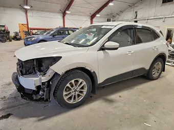 2020 Ford Escape 1FMCU9G64LUA89256 Lot 49681496