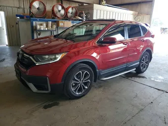 2020 Honda CR-V 5J6RW2H84LL015089 Lot 55566096