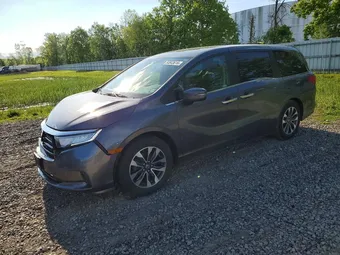 2022 Honda Odyssey 5FNRL6H71NB053205 Lot 54843616