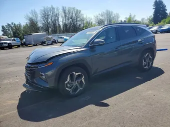 2024 Hyundai Tucson KM8JFDD26RU219844 Lot 52030206