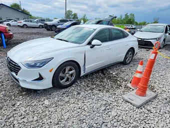 2020 Hyundai Sonata 5NPEG4JA2LH029426 Lot 51774696