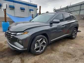 2024 Hyundai Tucson KM8JCCD1XRU187586 Lot 49136606