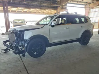 2020 Kia Telluride 5XYP5DHCXLG039229