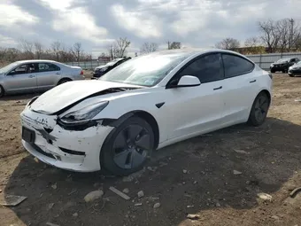 2021 Tesla Model 3 5YJ3E1EA1MF854220 Lot 52934105