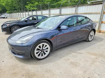 2023 Tesla Model 3 5YJ3E1EA5PF435999 Lot 56848116
