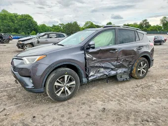 2017 Toyota RAV4 JTMRFREV2HJ704477 Lot 54613696