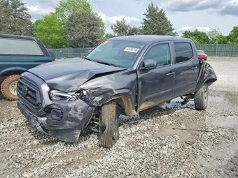 2023 Toyota Tacoma 3TMCZ5AN8PM599988 Lot 51695796