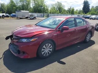 2019 Toyota Camry 4T1B31HK1KU516788 Lot 55564906