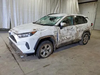 2019 Toyota RAV4 2T3MWRFV0KW029357 Lot 55257206