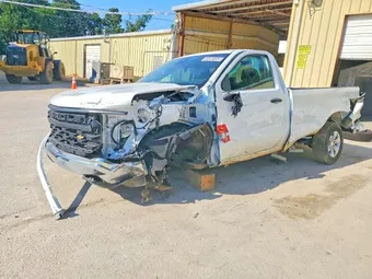 2023 Chevrolet Silverado 1500 3GCNAAEDXPG312546 Lot 60256846