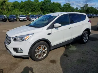 2019 Ford Escape 1FMCU0GD3KUB65252 Lot 57992916