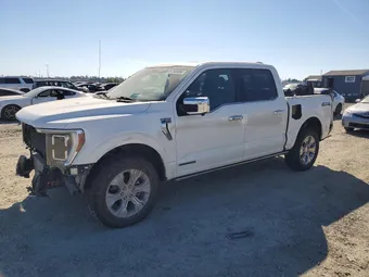 2021 Ford F-150 1FTFW1ED8MFB21355 Lot 41743656