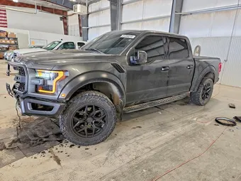 2019 Ford F-150 1FTFW1RG2KFA15534 Lot 51356016