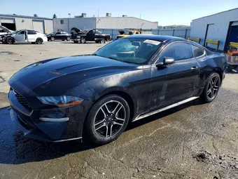 2019 Ford Mustang 1FA6P8TH0K5169338 Lot 54331666