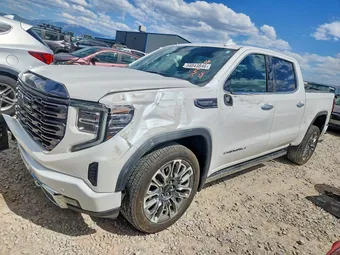 2024 GMC Sierra 1500 1GTUUHEL8RZ289824 Lot 54843846