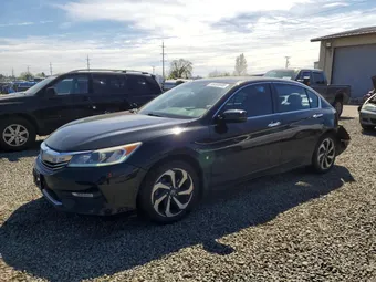 2016 Honda Accord 1HGCR2F84GA007874 Lot 49095846