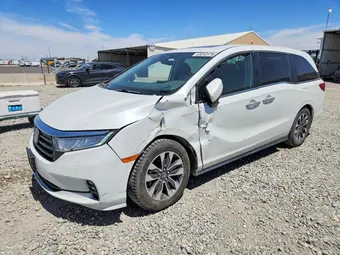 2021 Honda Odyssey 5FNRL6H71MB029680 Lot 53343176