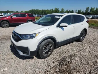 2021 Honda CR-V 5J6RW1H51ML001278 Lot 50589756