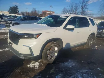 2024 Honda Pilot 5FNYG1H42RB016811 Lot 75449565